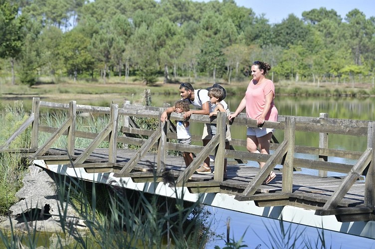 Etang de massy-Gaillères©Gilles Arroyo (45)R.jpg_6