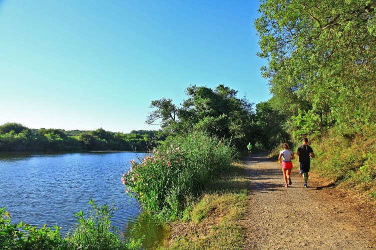 running-etang-messanges