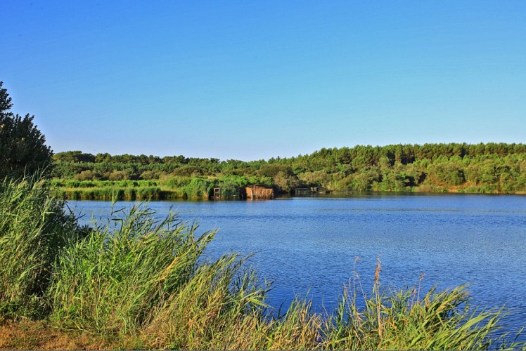 étang de Moisan JACPHOT