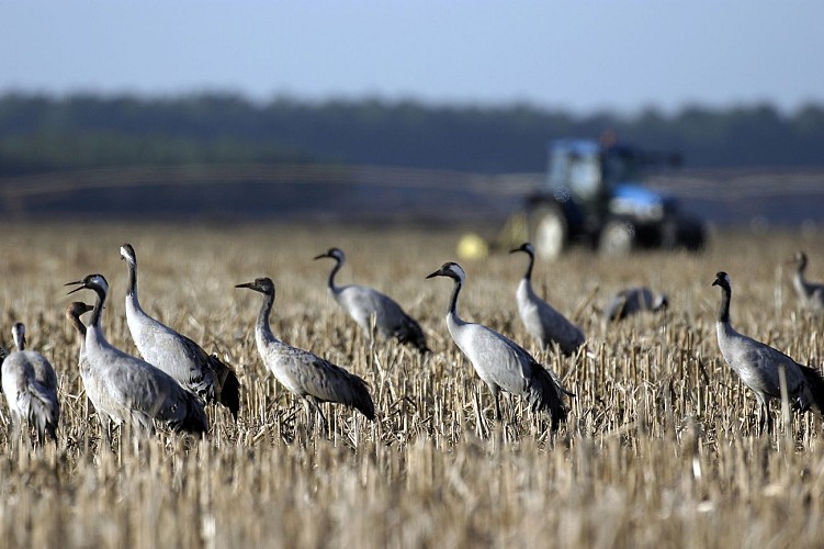 Crédit© Capnord - Fotolia
