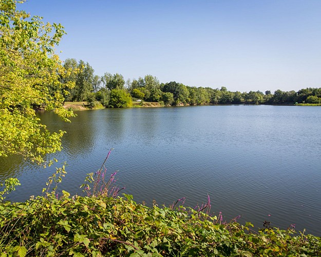 etang-de-l'estey-dax-2