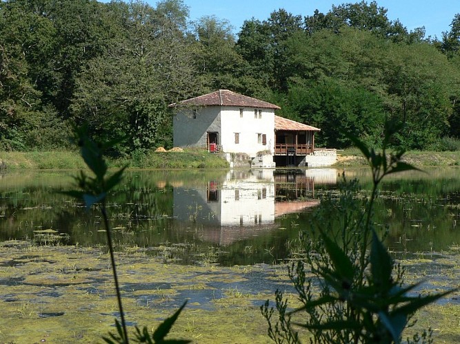 Arthez d'Armagnac - Etang de la Gaube - Moulin de la Gaube - Domaine d'Ognoas