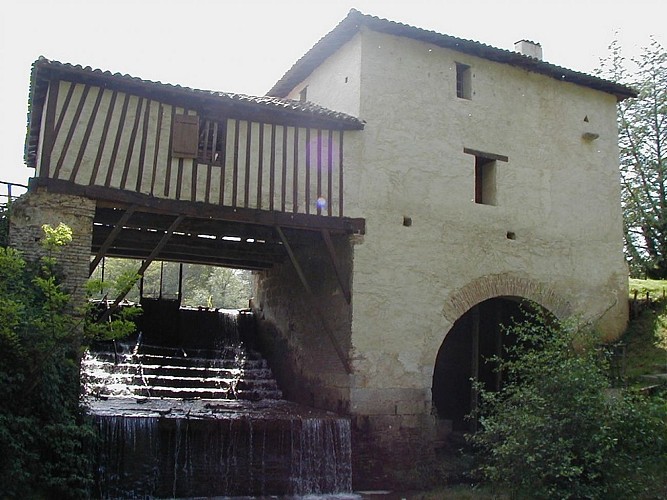 Arthez d'Armagnac - Moulin de la Gaube - Domaine d'Ognoas (4)