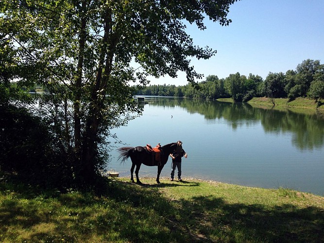 Saligues de l'Adour 3