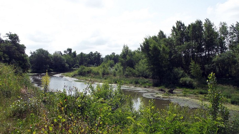 Saligues de l'Adour 5