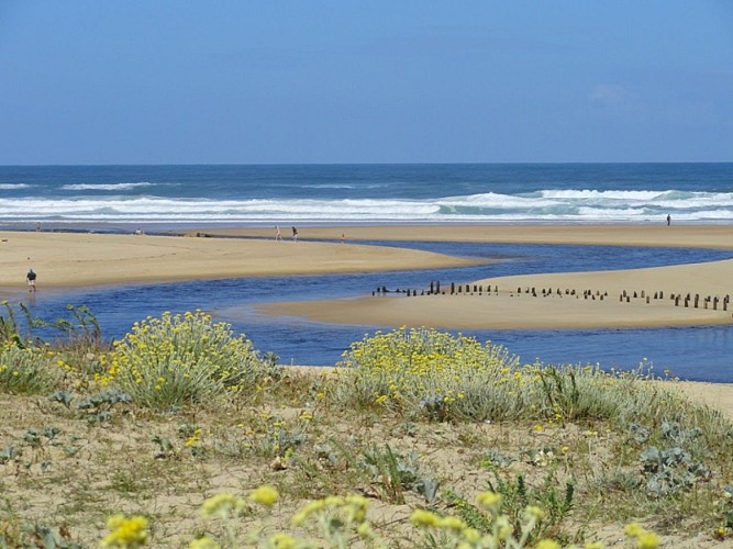 L'Embouchure du Courant d'Huchet_Moliets_Landes Atlantique Sud