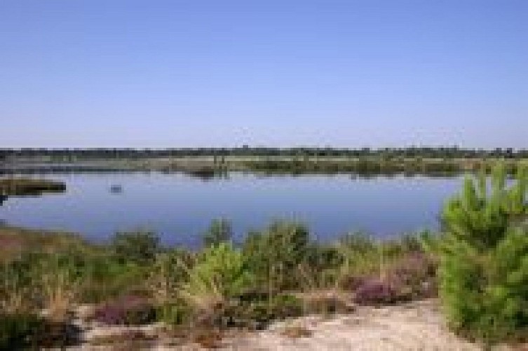 Maison de site d'Arjuzanx