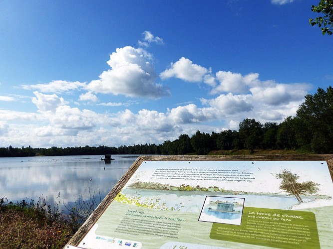 Saligues de l'Adour 1