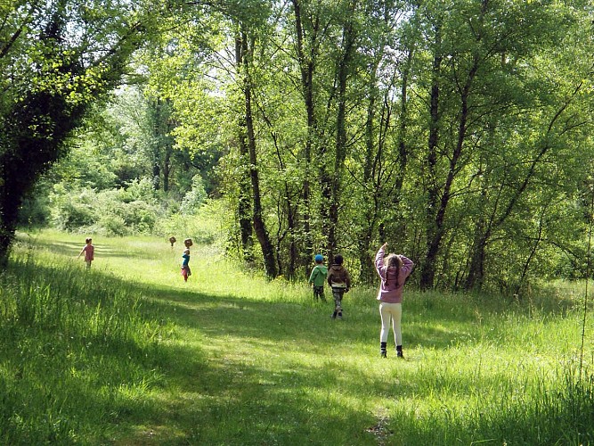 Saligues de l'Adour 2