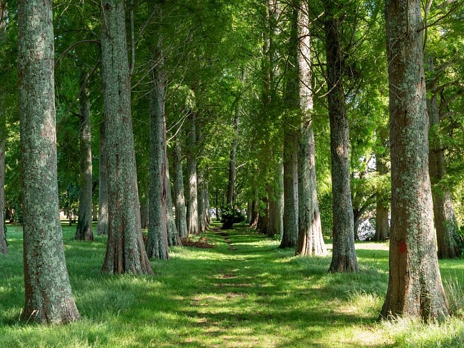 soustons-pointe-vergnes@antoine (2)