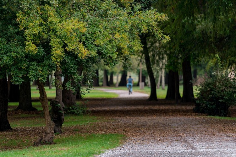 pointe-des-vergnes-velo-soustons