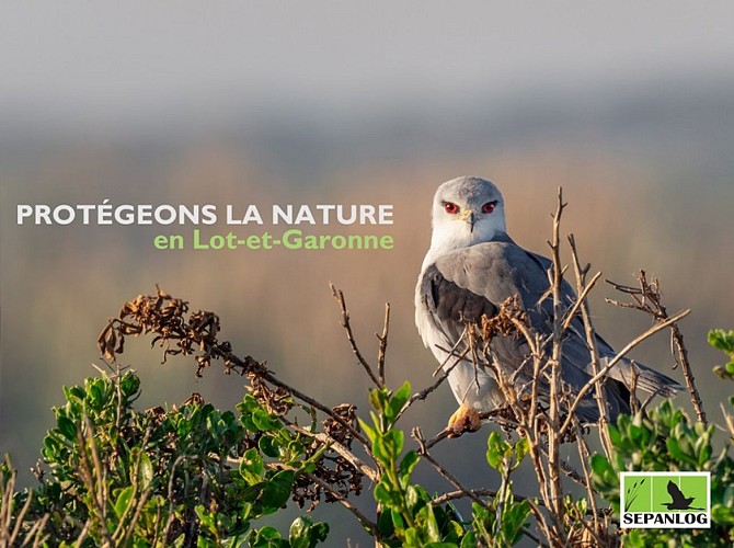 Réserve Naturelle de la Mazière 1