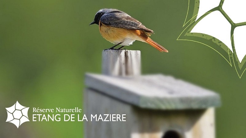 Réserve Naturelle de la Mazière 5