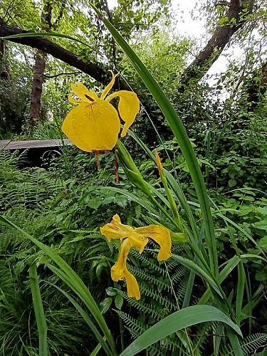 Réserve Naturelle de la Mazière 2