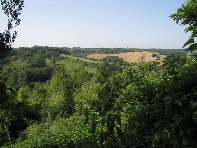 Vue depuis le village de Puymirol