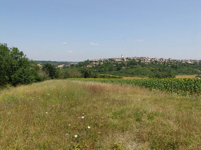 Le village de Puymirol dominant la plaine