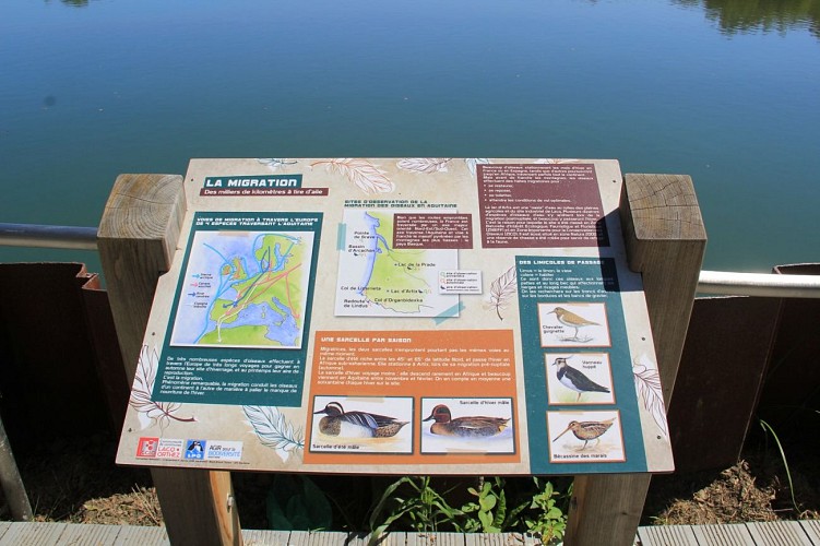 Lac d'artix pardies (6)
