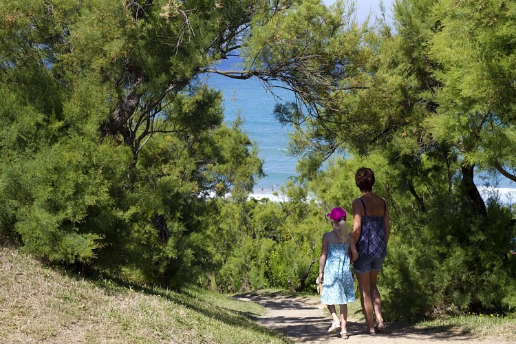 Bidart Sentier Littoral (3)