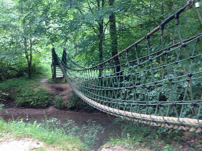 Promenade Bois de Mixe 64120 Orègue (13)