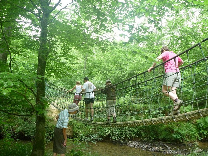 Promenade Bois de Mixe 64120 Orègue (6)