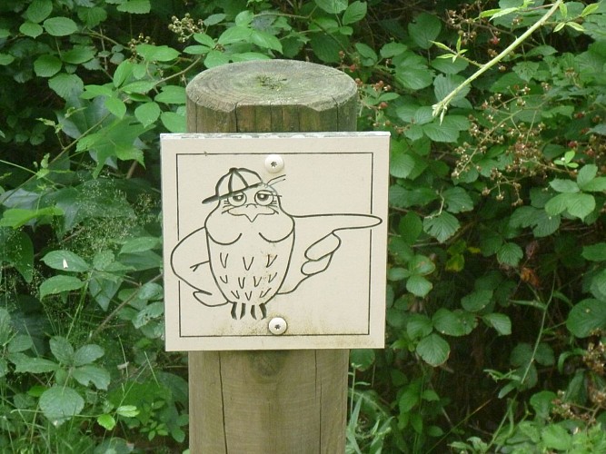 Promenade Bois de Mixe 64120 Orègue (3)