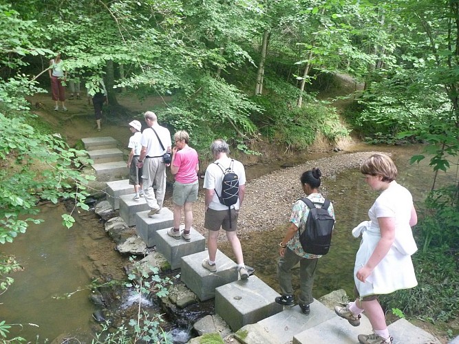 Promenade Bois de Mixe 64120 Orègue (4)