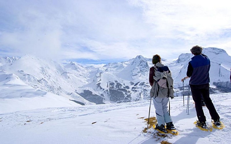 AUBISQUE 1440AUBISQ23