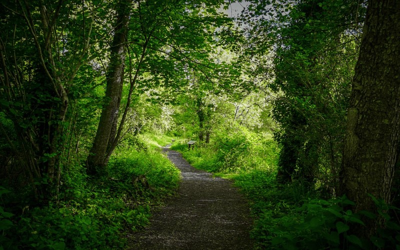 Retouches photos - 1440 x 900 - 1