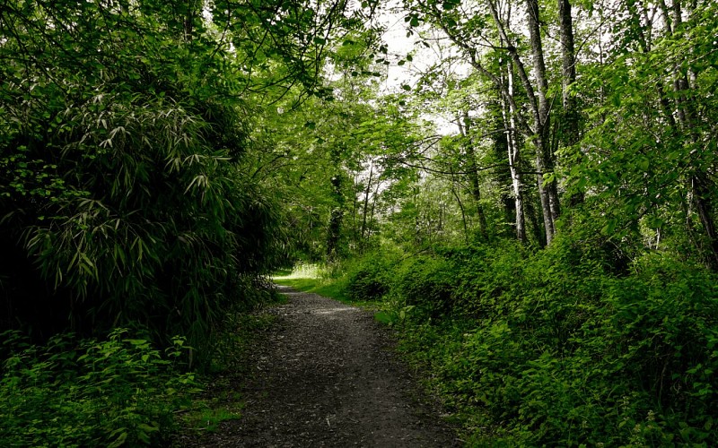 Retouches photos - 1440 x 900 - 2