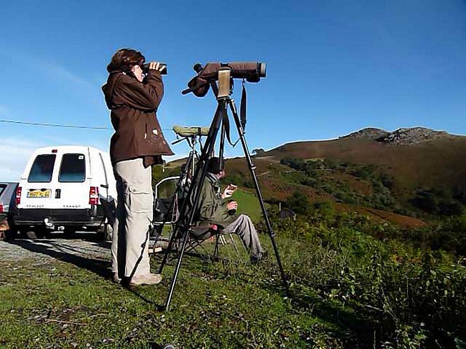 sare_lizarrieta_col_est_suivi_chaque_automne