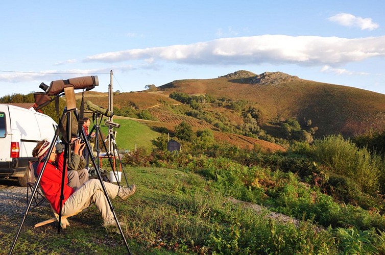 Spotteur-en-observation