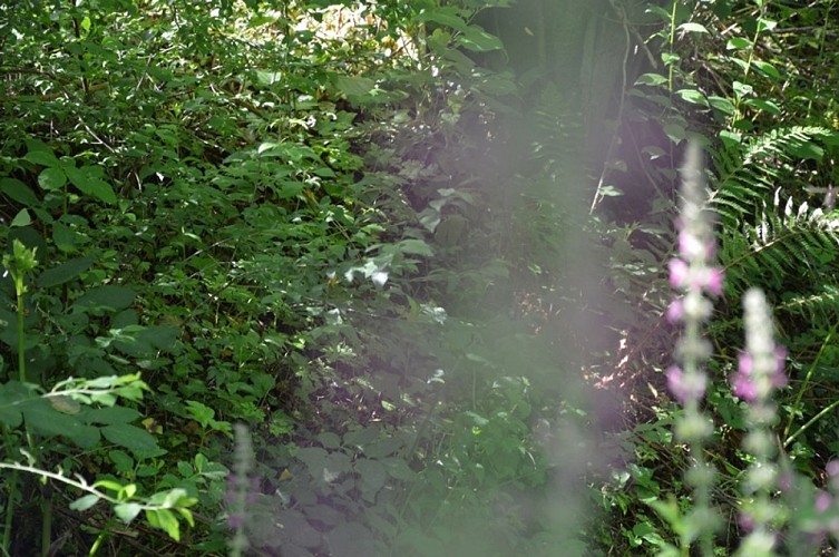 Parcours de découverte de Salies-de-Béarn