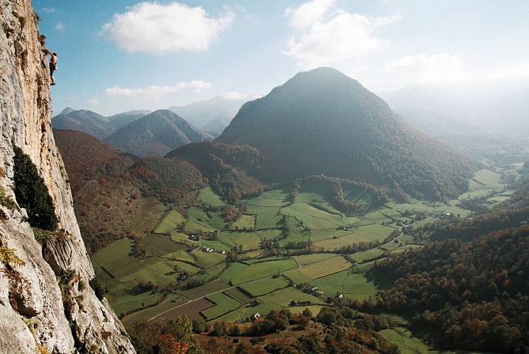 vue depuis les falaises