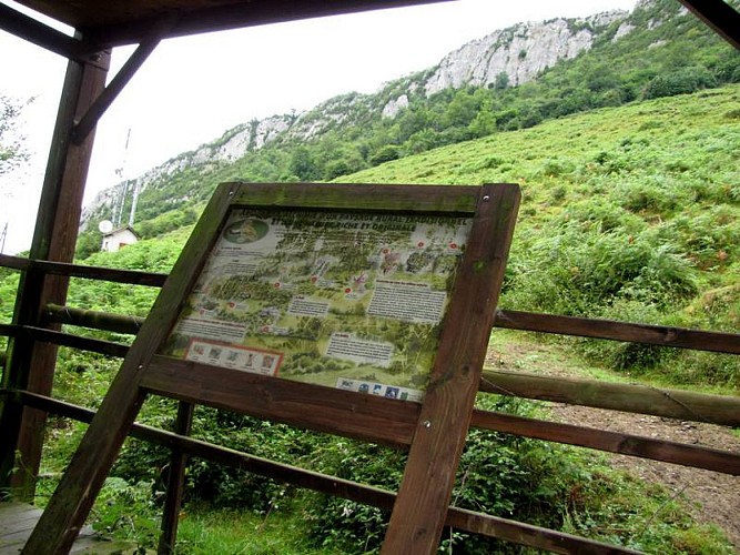 La falaise d'Arguibelle : escalade