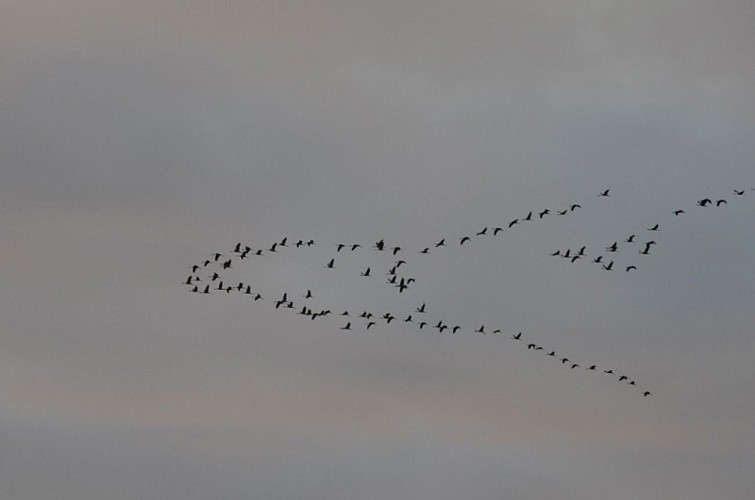 La Redoute de Lindux