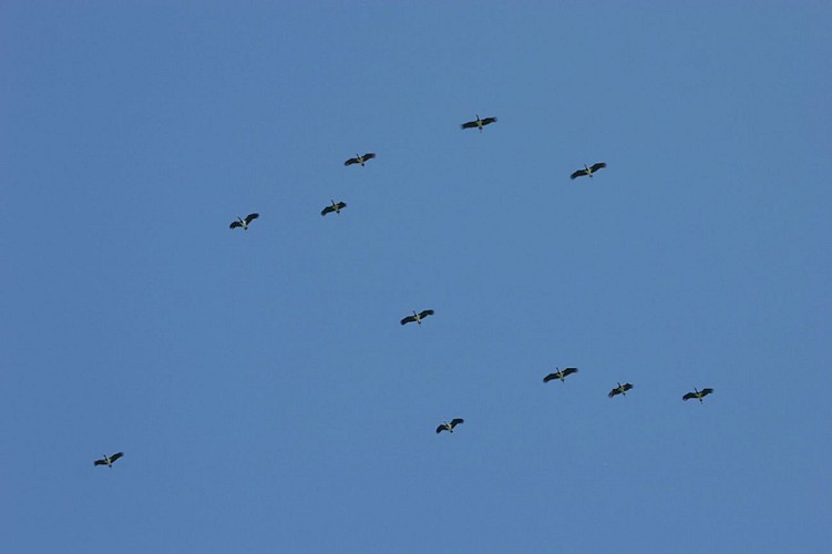 La Redoute de Lindux