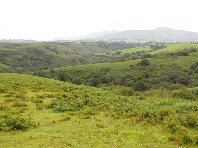 Les landes d'Hasparren sont les premiers reliefs des Pyrénées au loin.