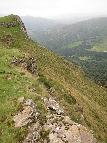 Le monticole bleu préfère toutefois les escarpements qui dominent le vide