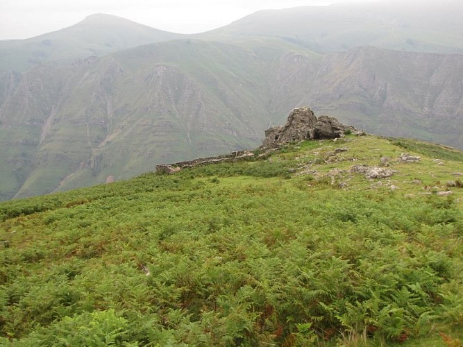 Ce type de rochers est à prospecter pour pouvoir observer les monticoles