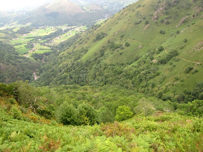 On quitte rapidement les bois pour montrer sur les crêtes