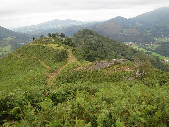 Le GR10 traverse la lande à fougère sur les crêtes