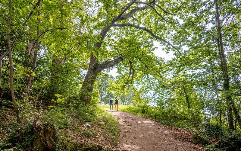 Rando Colline de la Bergerie @KOMCEBO_2022 (3)