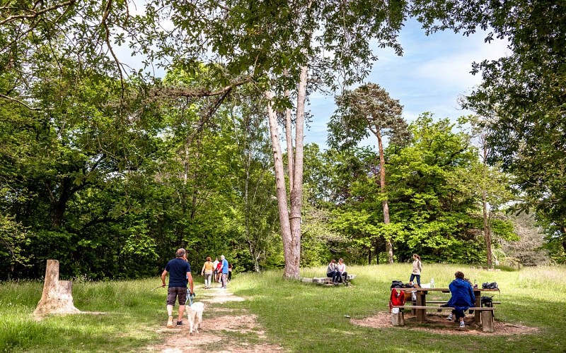 Sommet Colline de la Bergerie