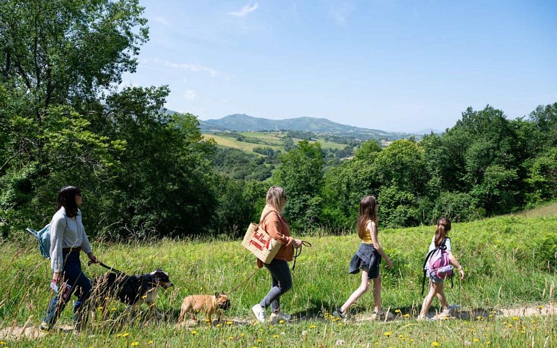 Colline de la Bergerie Cambo-les-Bains