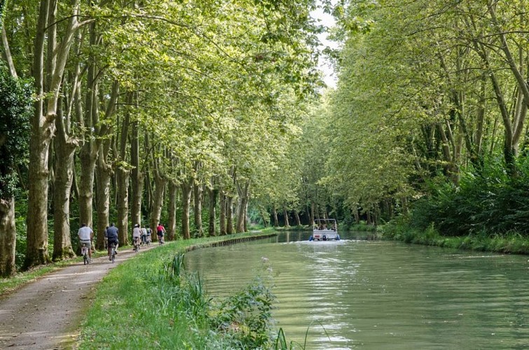 Les-Cycles-du-Canal-CASTETS-ET-CASTILLON-2019-SUD-GIRONDE-1--Copier-