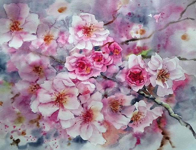 VSG_Larose_fleurs-printemps