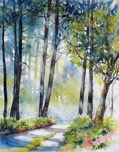 VSG_Larose_aquarelle-à-contre-jour