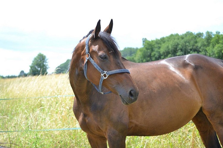 35416240_864168813776180_6221333877139439616_o