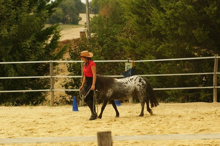 Coeurdebastides_Pailloles_siteactivités_poneyclubdémilie4_20160921 (800x600)