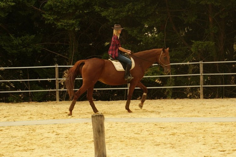 Coeurdebastides_Pailloles_siteactivités_poneyclubdémilie5_20160921 (800x600)